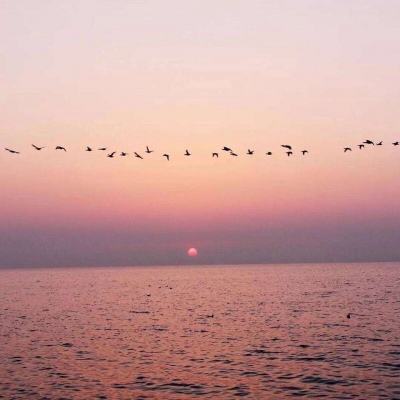 半岛手机网页版登录入口